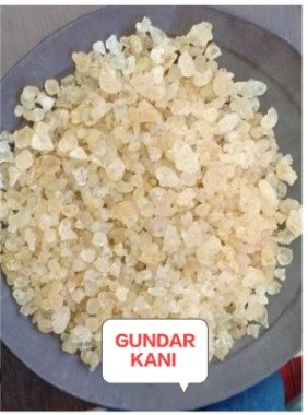 GUNDAR KANI [AA]