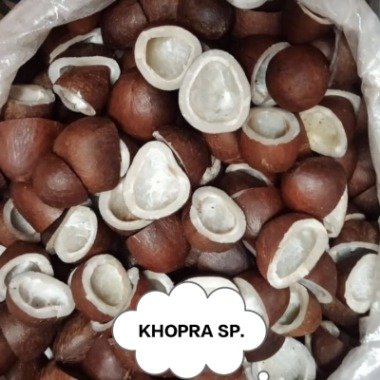 KHOPRA [S.P.]