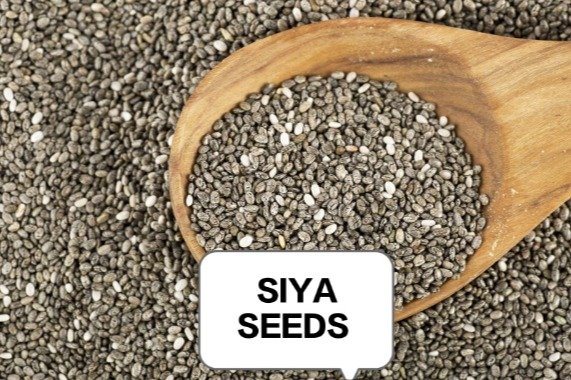 SIYA SEEDS