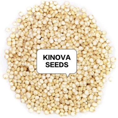 KINOVA SEEDS