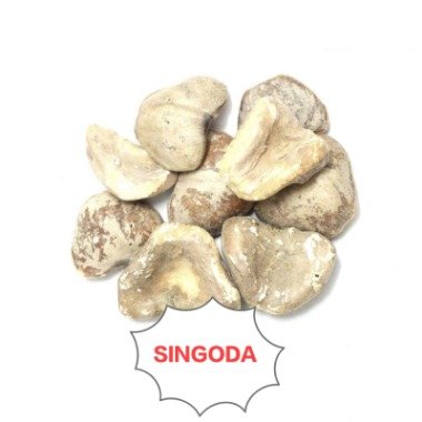 SINGODA