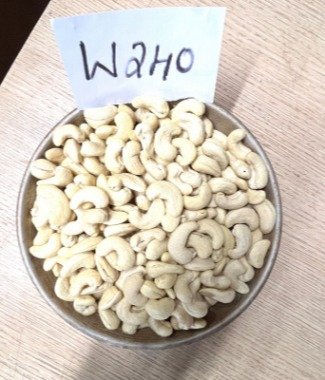 KAJU [W-240]