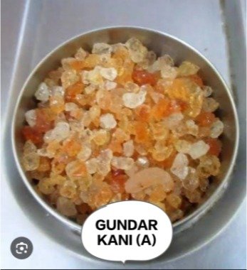 GUNDAR KANI [A]