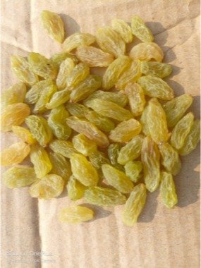 AFGAN KISMIS