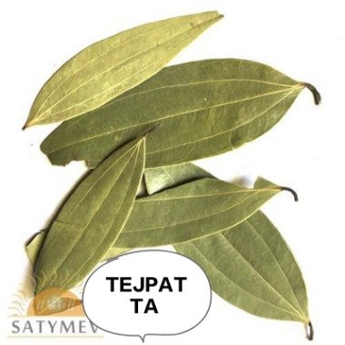 TEJPAT