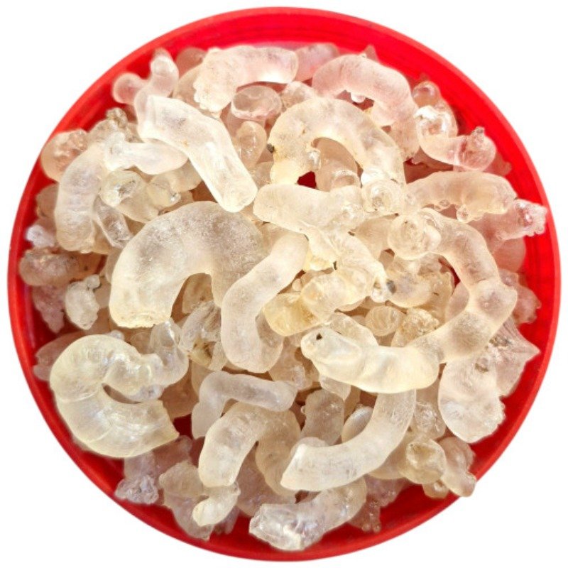 SEV GUNDAR