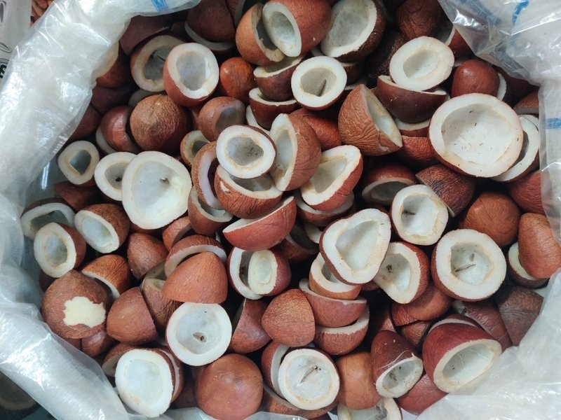 KHOPRA MADRAS