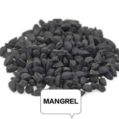 MANGREL