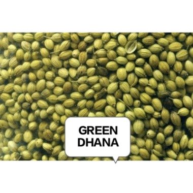 DHANA GREEN [AA]