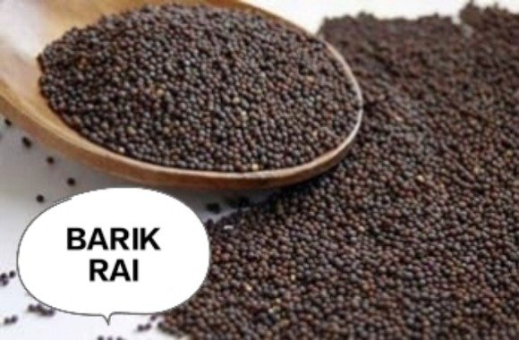 RAI BARIK