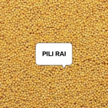 RAI PILI