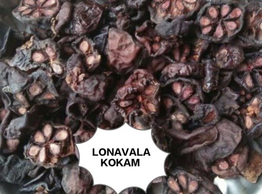 KOKAM LONAVALA